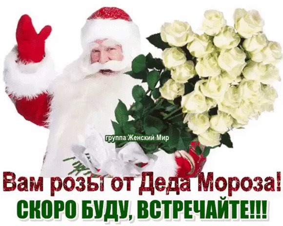 Анимированная открытка вам розы от деда