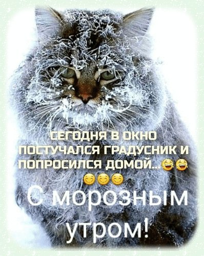 Анимированная открытка сегодня в постучался