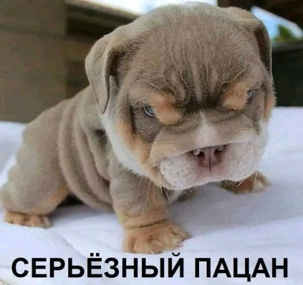 file_95692561