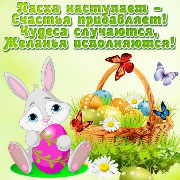 file_84185286