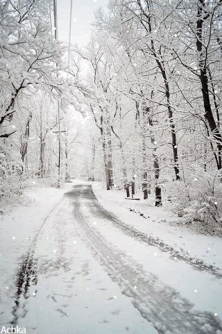 file_75201140
