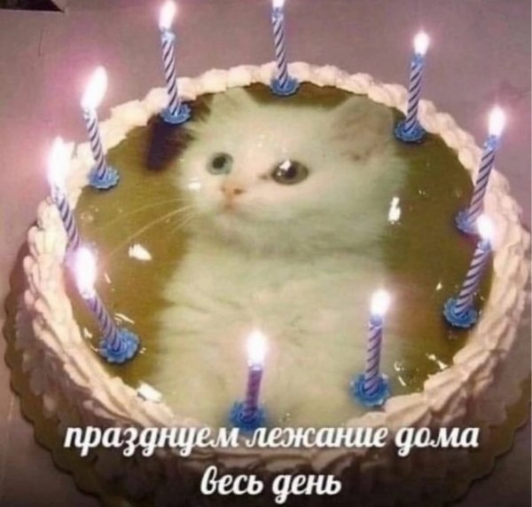 file_103192462