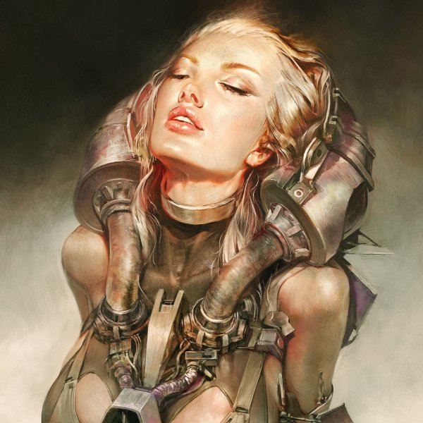 Expansion on Wargarden