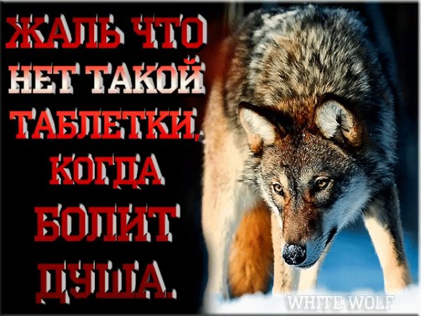 IMG 20180115 220120 1