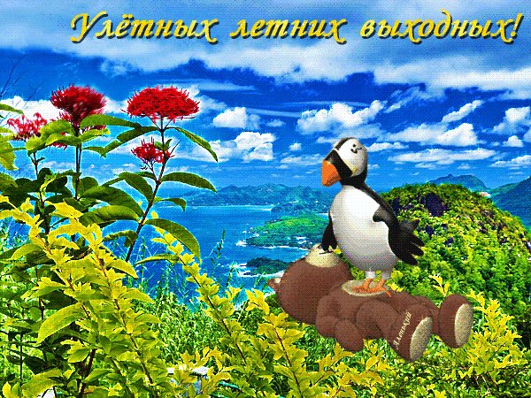 file_78309209