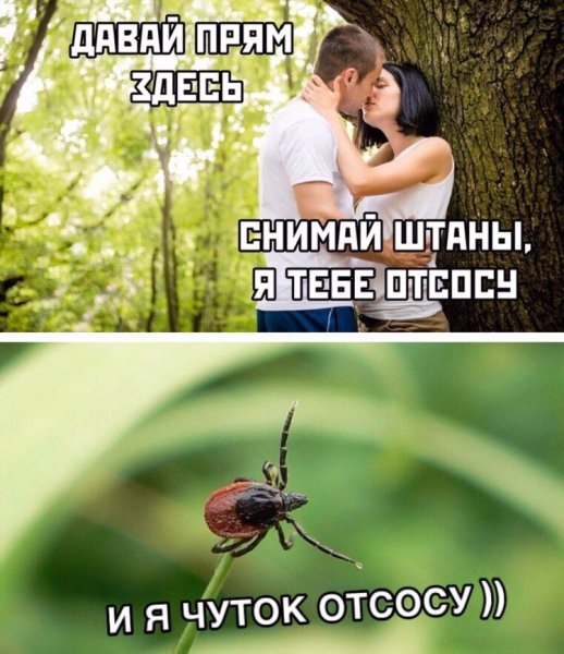 file_77625177