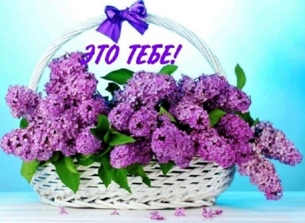 Это тебе. 31.
