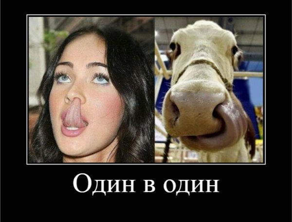 Один в один