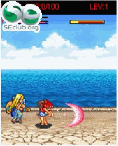 fighter king of brawl 240x320