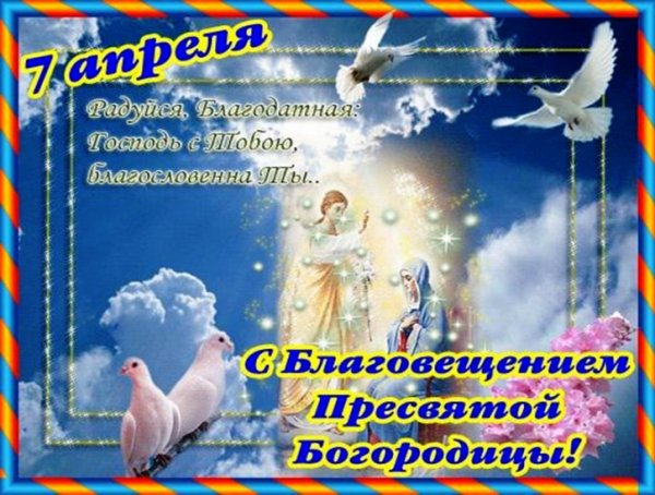 file_81089637