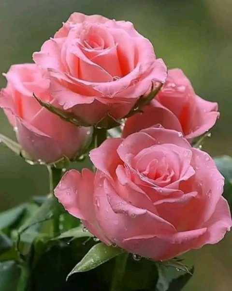 file_99507079