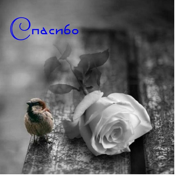 SPASIBO