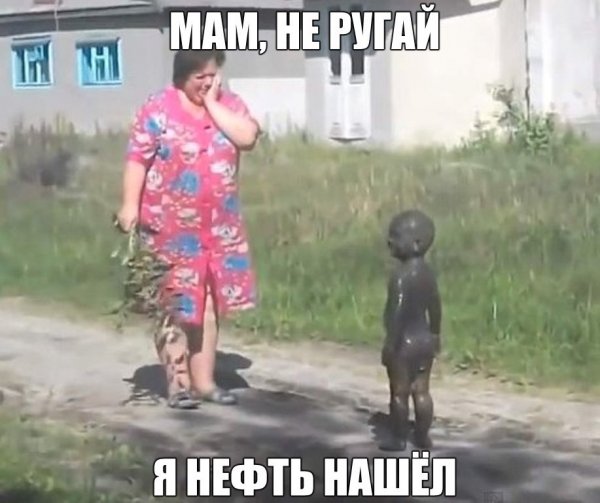 Не ругай