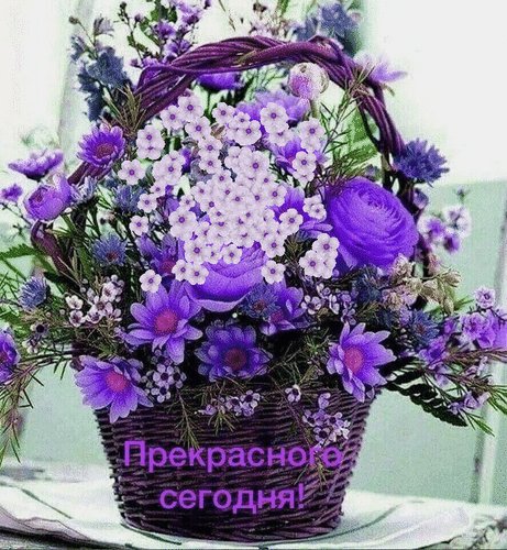 Анимированная открытка прекрасного сегодня (2)