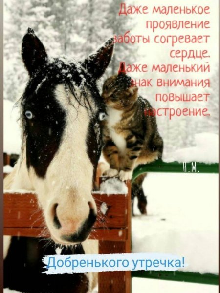 Добренького утречка