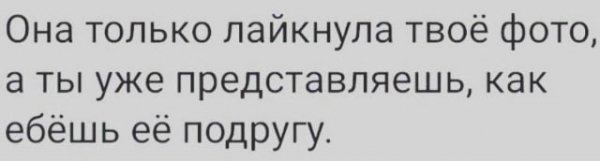 file_102030387
