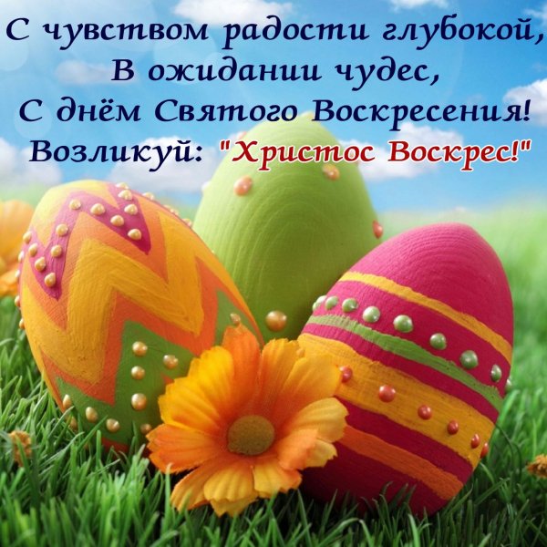 file_84186436