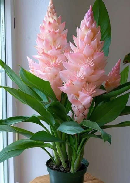 FB IMG 1714513149273