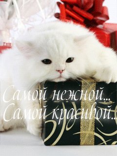file_39192241