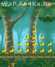 Banana Smasher Nokia Asha 305