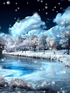 file_65688041