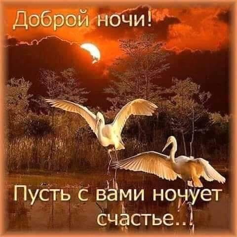 Доброй ночи!