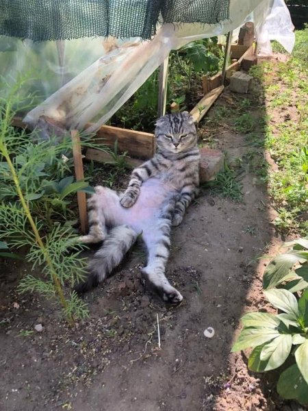 FB IMG 1775399965190