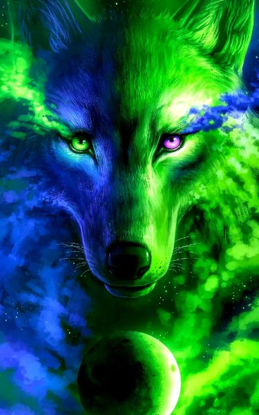 galaxy wolf-83e4006c-6e7a-4516-a62f-e86eefcb7ca2