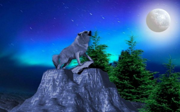 Volk-i-luna