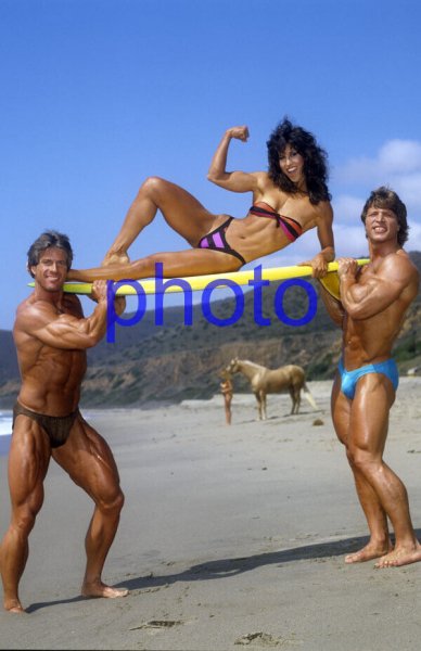 RACHEL-McLISHfemale-bodybuilder11X17-POSTER-SIZE-PHOTO