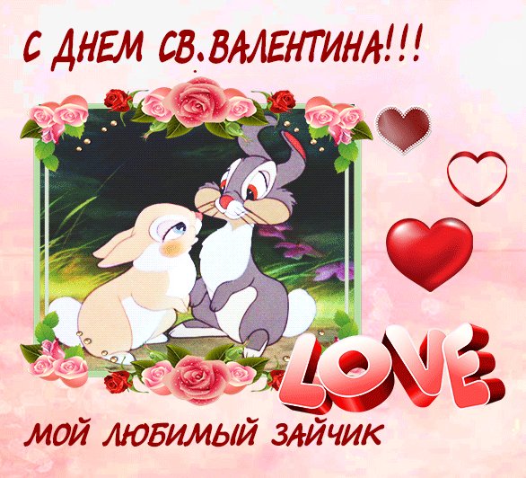 Moj-lyubimyj-zajchik