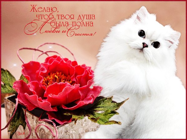 Желаю чтоб твоя душа была полна Любви и Счастья!