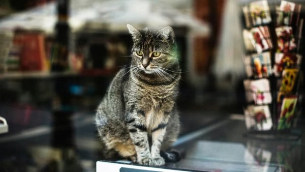 AQAOobYvZybPrTwTSDMteN 4mjTrX9hmD6SkhjndSG8Ze2QsMDdrD9GKjrqJ