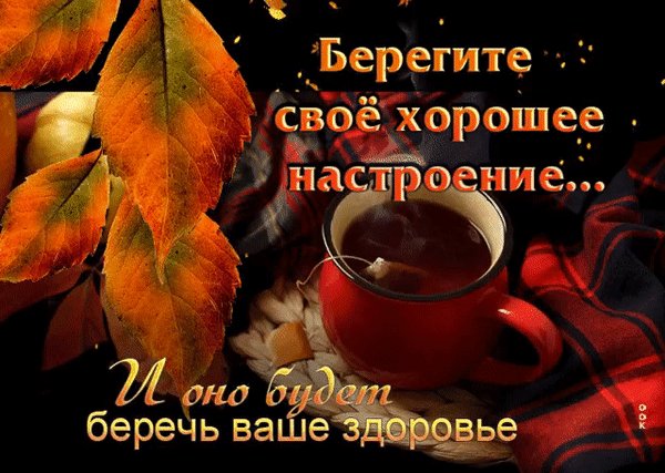 Анимированная открытка беретите своё