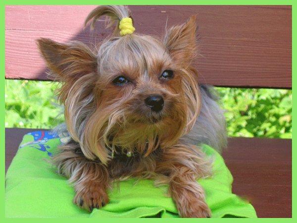 ca7fca4e511659c50f0d9faf471d4