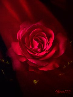 file_53868388