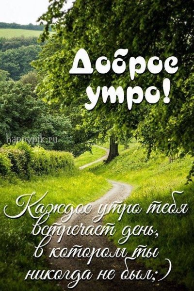 IMG-20250611-WA0002