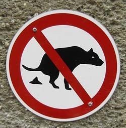 Бурьяк Александр Люди против собак: кто кого?