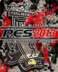 pes2013
