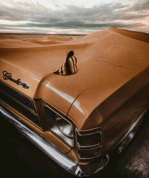 В раздумьях