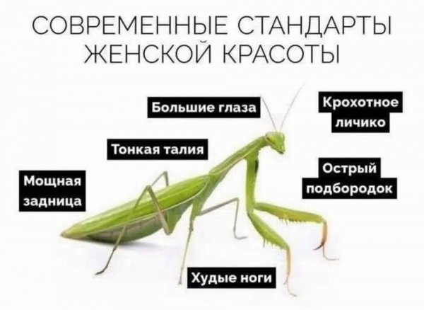 FB IMG 1776447017901