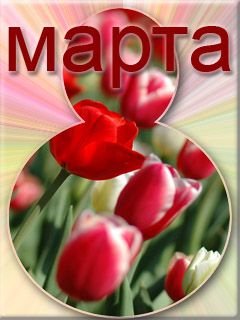 8 Marta siza 167