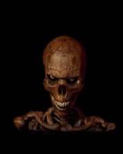 skull gif 320 320 256 922337203685477500