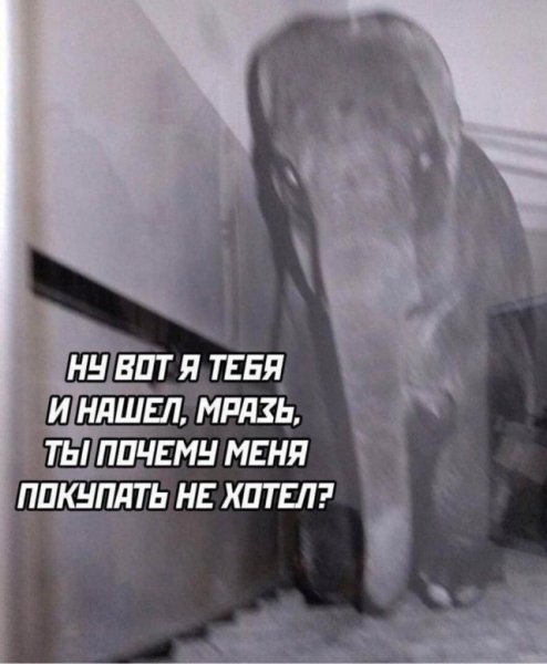 file_103253976