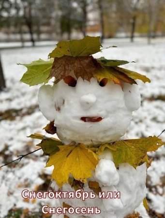 file_94943705