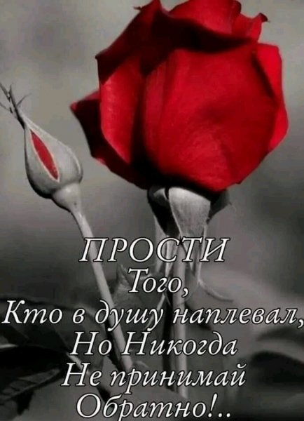 IMG 20260221 021250