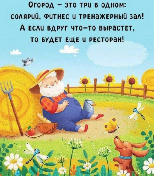 IMG 20250602 191235 706