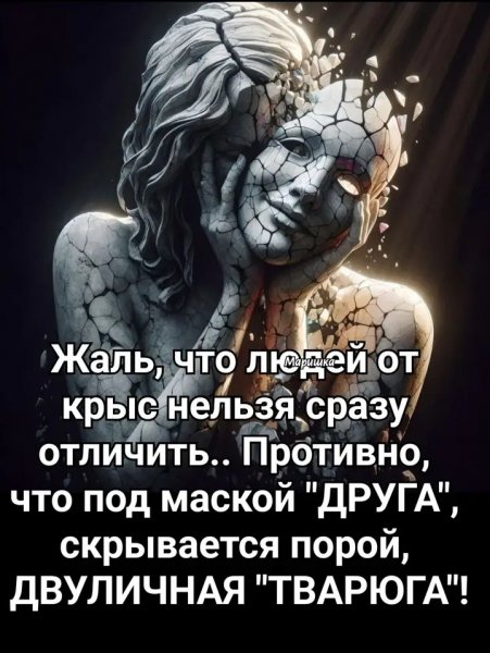 file_100368956