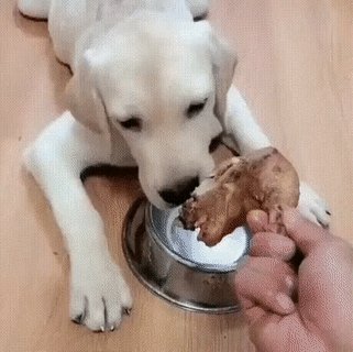 ))