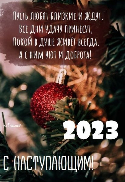 Поздравления-с-Новым-годом-кролика-2023-в-картинках-13